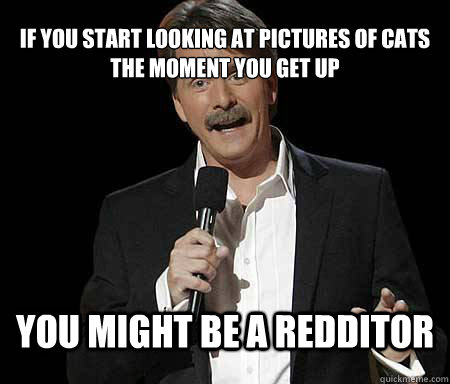 If you start looking at pictures of cats the moment you get up you might be a redditor  Foxworthy Redditor