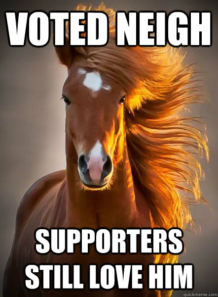 Voted Neigh Supporters still love him  Ridiculously Photogenic Horse