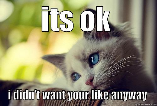 its ok - ITS OK I DIDN'T WANT YOUR LIKE ANYWAY First World Problems Cat