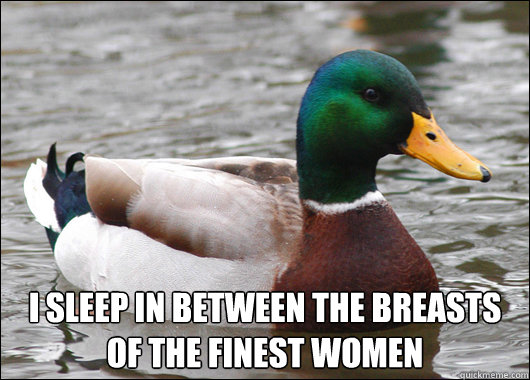  i sleep in between the breasts of the finest women  Actual Advice Mallard
