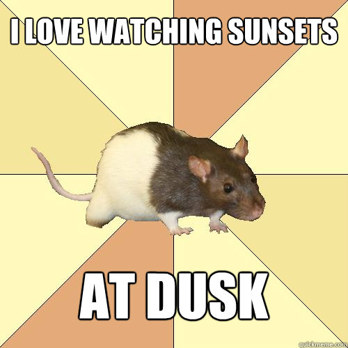 i love watching sunsets at dusk  Redundant Rat