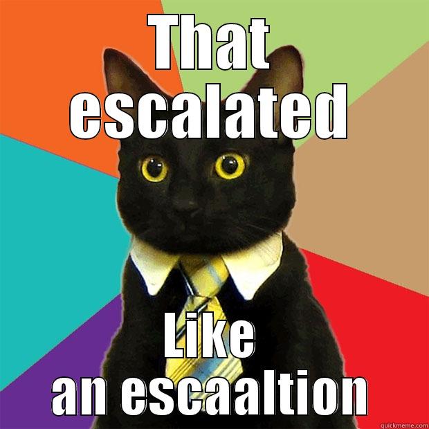 THAT ESCALATED LIKE AN ESCAALTION Business Cat