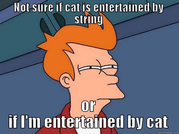 NOT SURE IF CAT IS ENTERTAINED BY STRING OR IF I'M ENTERTAINED BY CAT Futurama Fry