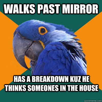 walks past mirror has a breakdown kuz he thinks someones in the house  Paranoid Parrot