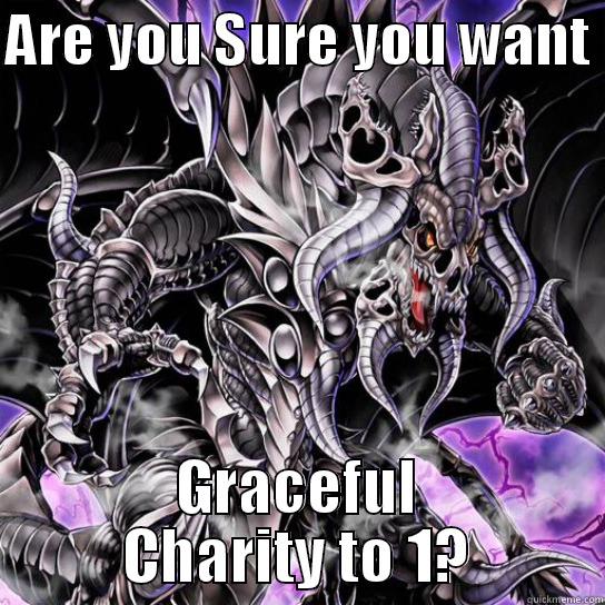 ARE YOU SURE YOU WANT  GRACEFUL CHARITY TO 1? Misc