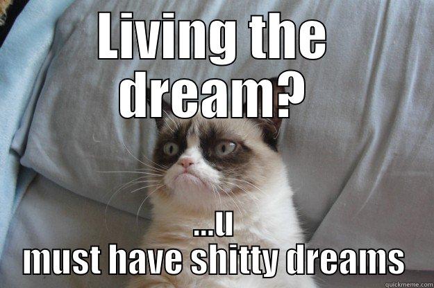 Living. The. Dream. - LIVING THE DREAM? ...U MUST HAVE SHITTY DREAMS Grumpy Cat