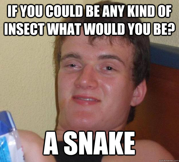 IF YOU COULD BE ANY KIND OF INSECT WHAT WOULD YOU BE? A SNAKE - IF YOU COULD BE ANY KIND OF INSECT WHAT WOULD YOU BE? A SNAKE  10 Guy