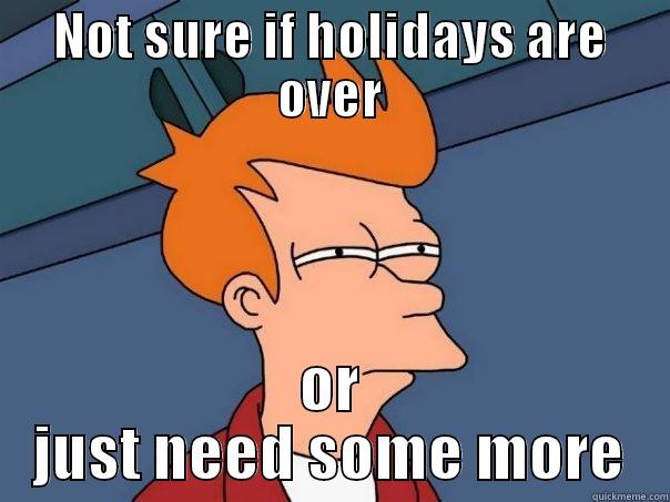 NOT SURE IF HOLIDAYS ARE OVER OR JUST NEED SOME MORE Futurama Fry