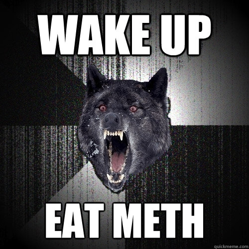 wake up eat meth  Insanity Wolf