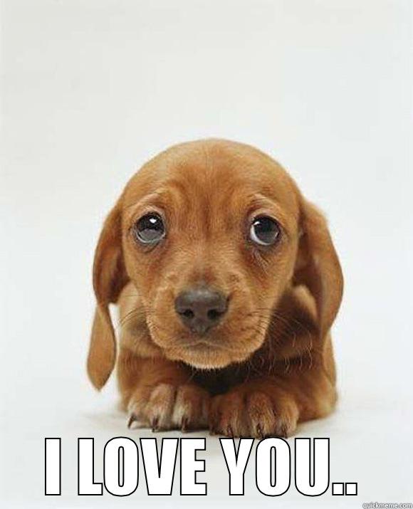  I LOVE YOU.. Misc