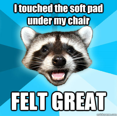 I touched the soft pad under my chair FELT GREAT  Lame Pun Coon