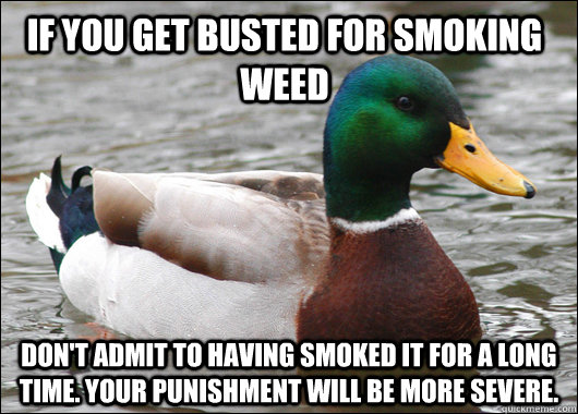 If you get busted for smoking weed Don't admit to having smoked it for a long time. Your punishment will be more severe.  Actual Advice Mallard