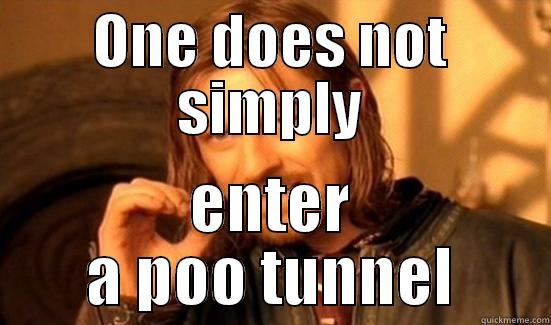 ONE DOES NOT SIMPLY ENTER A POO TUNNEL Boromir