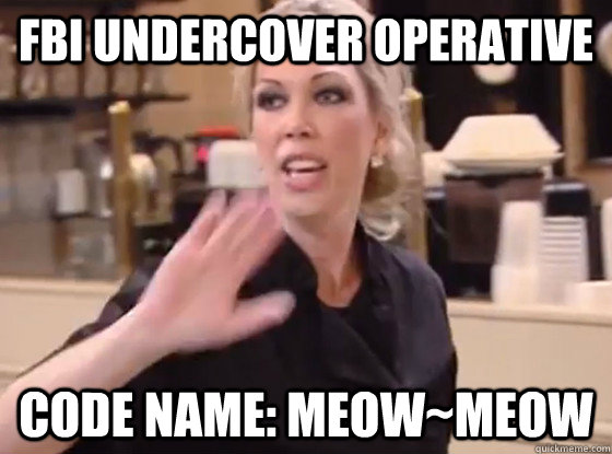 FBI undercover operative Code name: Meow~Meow  Overly Hostile Amy