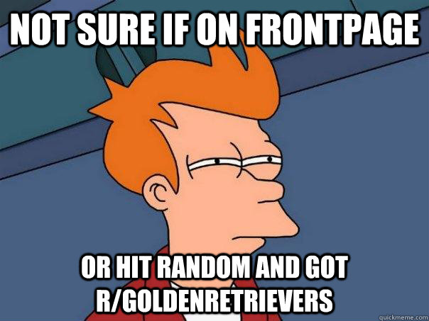 Not sure if on frontpage or hit random and got r/goldenretrievers   Futurama Fry