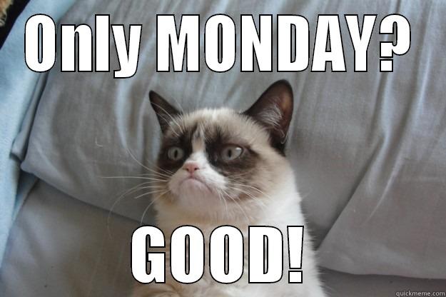 ONLY MONDAY? GOOD! Grumpy Cat