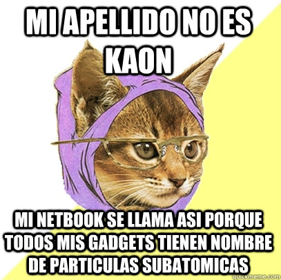 Mi apellido no es Kaon Mi netbook se llama asi porque todos mis gadgets tienen nombre de particulas subatomicas  Hipster Kitty