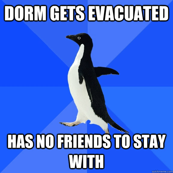 Dorm gets evacuated Has no friends to stay with  Socially Awkward Penguin