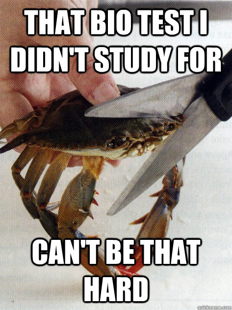 That Bio test I didn't study for Can't be that hard  Optimistic Crab