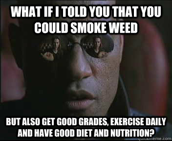 What if I told you that you could smoke weed But also get good grades, exercise daily and have good diet and nutrition?  Morpheus SC