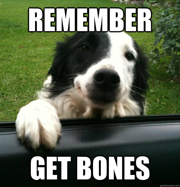 Remember get bones - Remember get bones  Mechanic Dog