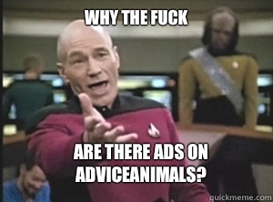 Why the fuck Are there ads on AdviceAnimals?  Annoyed Picard