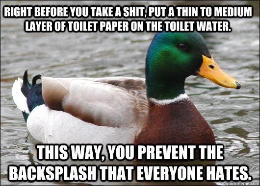 Right before you take a shit, put a thin to medium layer of toilet paper on the toilet water. This way, you prevent the backsplash that everyone hates.  Actual Advice Mallard