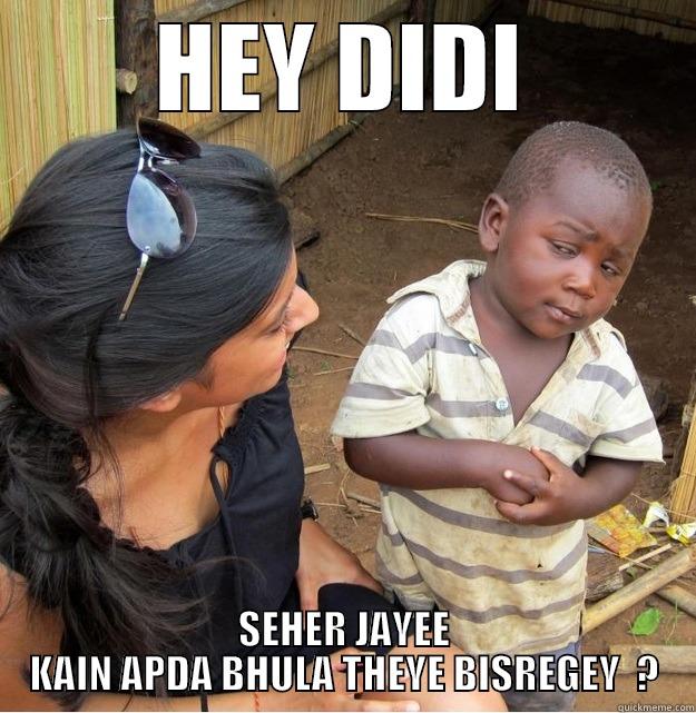 HEY DIDI SEHER JAYEE KAIN APDA BHULA THEYE BISREGEY  ? Skeptical Third World Kid