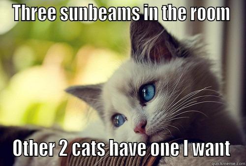 THREE SUNBEAMS IN THE ROOM OTHER 2 CATS HAVE ONE I WANT First World Problems Cat