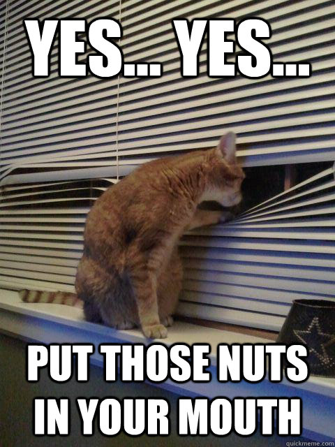 Yes... yes... Put those nuts in your mouth  Peeping Tomcat
