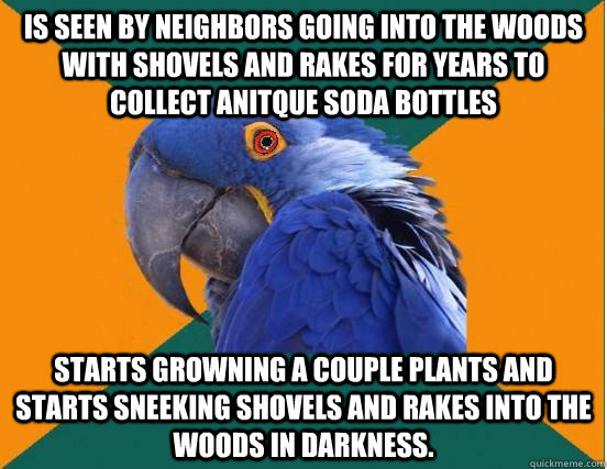 is seen by neighbors going into the woods with shovels and rakes for years to collect anitque soda bottles starts growning a couple plants and starts sneeking shovels and rakes into the woods in darkness. - is seen by neighbors going into the woods with shovels and rakes for years to collect anitque soda bottles starts growning a couple plants and starts sneeking shovels and rakes into the woods in darkness.  Misc