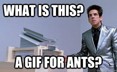 What is this? a gif for ants? - What is this? a gif for ants?  Zoolander