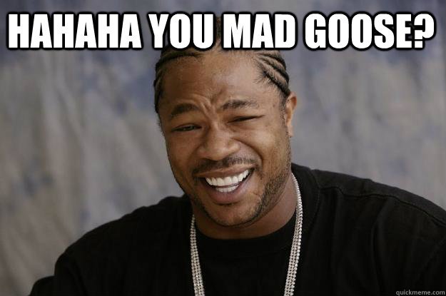 Hahaha You Mad Goose?  - Hahaha You Mad Goose?   Xzibit meme