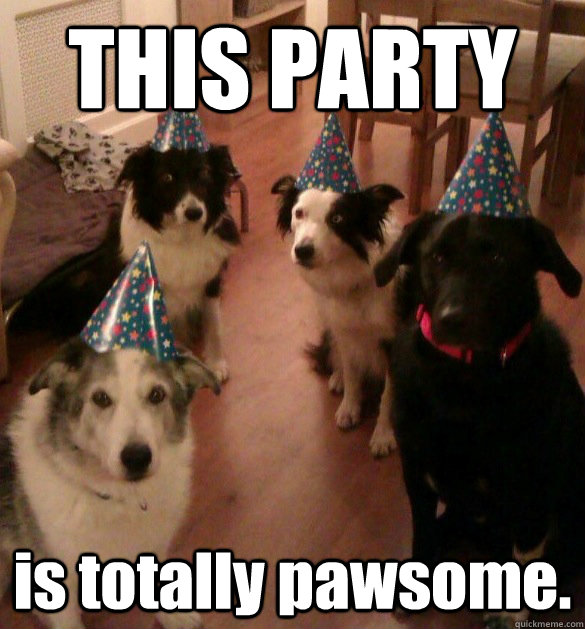 THIS PARTY is totally pawsome.  Party Animals