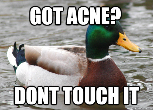 got acne? dont touch it  Actual Advice Mallard