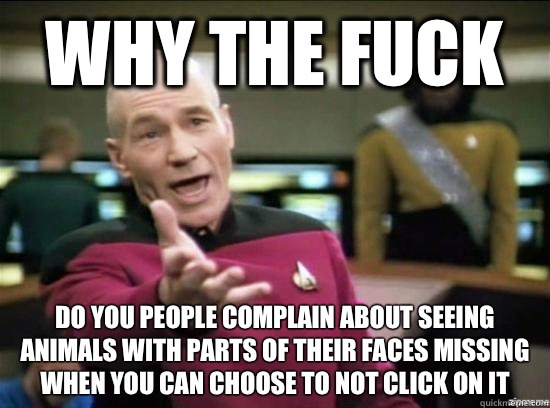Why the fuck do you people complain about seeing animals with parts of their faces missing when you can choose to not click on it  Annoyed Picard HD