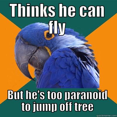 THINKS HE CAN FLY BUT HE'S TOO PARANOID TO JUMP OFF TREE Paranoid Parrot