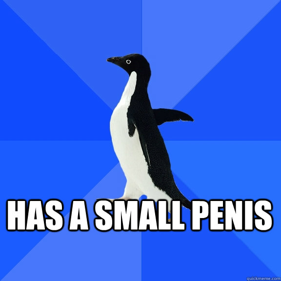  Has a small penis    Socially Awkward Penguin