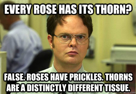 Every rose has its thorn? False. Roses have prickles. Thorns are a distinctly different tissue. - Every rose has its thorn? False. Roses have prickles. Thorns are a distinctly different tissue.  FALSE SCREAMO