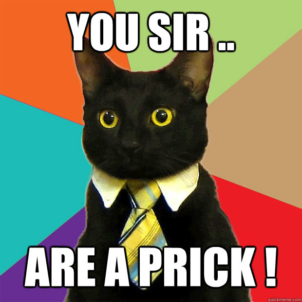 You sir .. Are a prick !  Business Cat