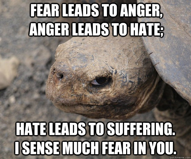 Fear leads to anger,      anger leads to hate;  hate leads to suffering.        I sense much fear in you. - Fear leads to anger,      anger leads to hate;  hate leads to suffering.        I sense much fear in you.  Insanity Tortoise