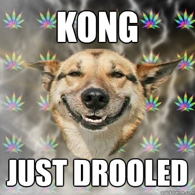 KONG JUST DROOLED  Stoner Dog