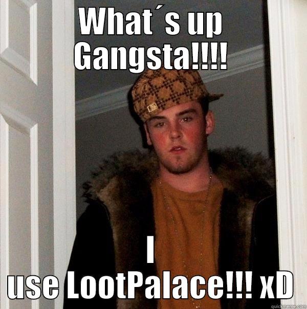 WHAT´S UP GANGSTA!!!! I USE LOOTPALACE!!! XD Scumbag Steve