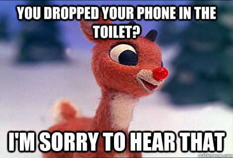 You dropped your phone in the toilet? I'm sorry to hear that  Condescending Rudolph