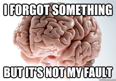 I forgot something But it's not my fault  Scumbag Brain
