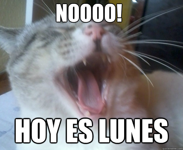 NOOOO! HOY ES LUNES - NOOOO! HOY ES LUNES  hoy es lunes