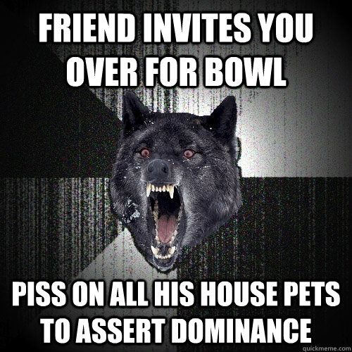 friend invites you over for bowl piss on all his house pets to assert dominance   Insanity Wolf