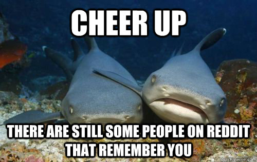 Cheer up There are still some people on reddit that remember you  Compassionate Shark Friend