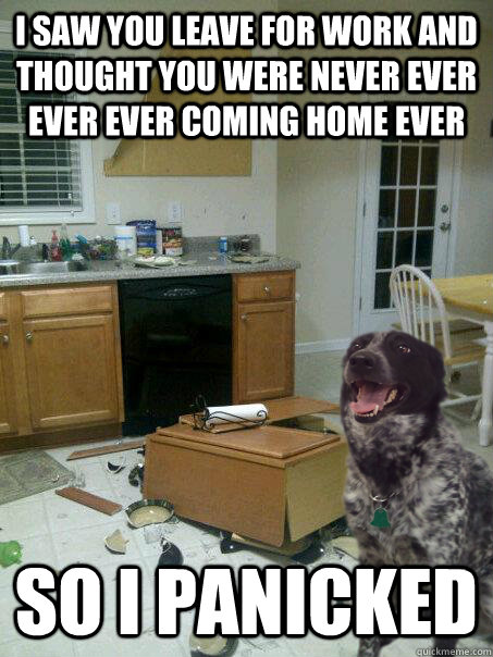 i saw you leave for work and thought you were never ever ever ever coming home ever so i panicked - i saw you leave for work and thought you were never ever ever ever coming home ever so i panicked  panicked dog