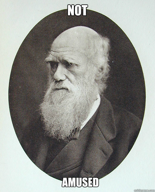 Not Amused  Charles Darwin